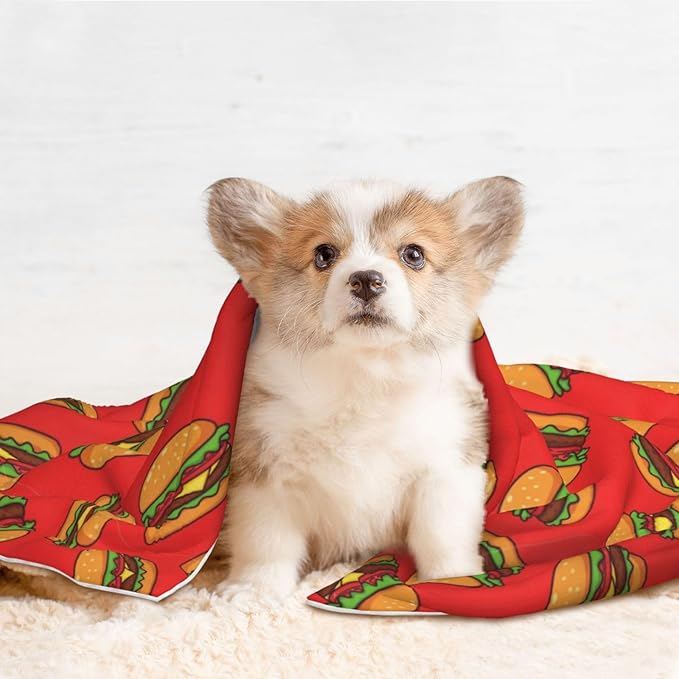 Pet Blanket for Car Rides Vet Visits, Burger Hamburger Pattern Red, Two Sided Reversible Plush Design with Bumpy Dot Side Offers Comfort Home Piece On Go Travel