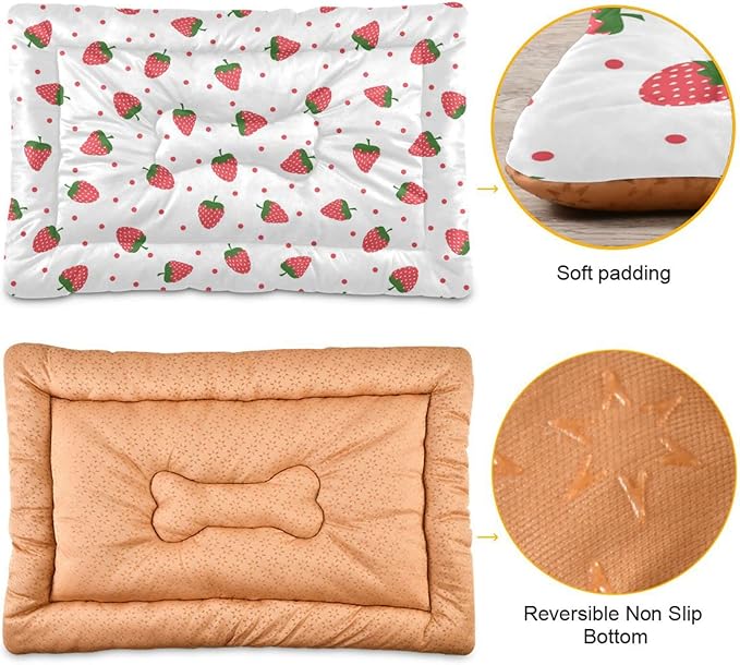 Pet Bed Strawberry Fruit Dog Bed Mat Absorbing Non Slip Pad Pet Sleeping Mat for Small, Medium, and Large Dogs Puppy Cat 36 in x 24 in