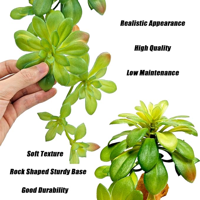 Woyrise Reptile Plants Succulent, Artificial Desert Plant for Terrarium Decor, Bearded Dragon Tank Accessories fit Gecko Lizard Chameleon Ball Python Snake - Sedum Palmeri
