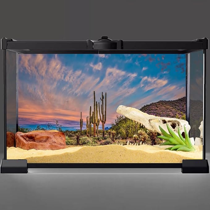 AWERT 60x24 inches Terrarium Background Blue Sky Cloud Huge Cactus Oasis Gobi Reptile Habitat Background Vinyl