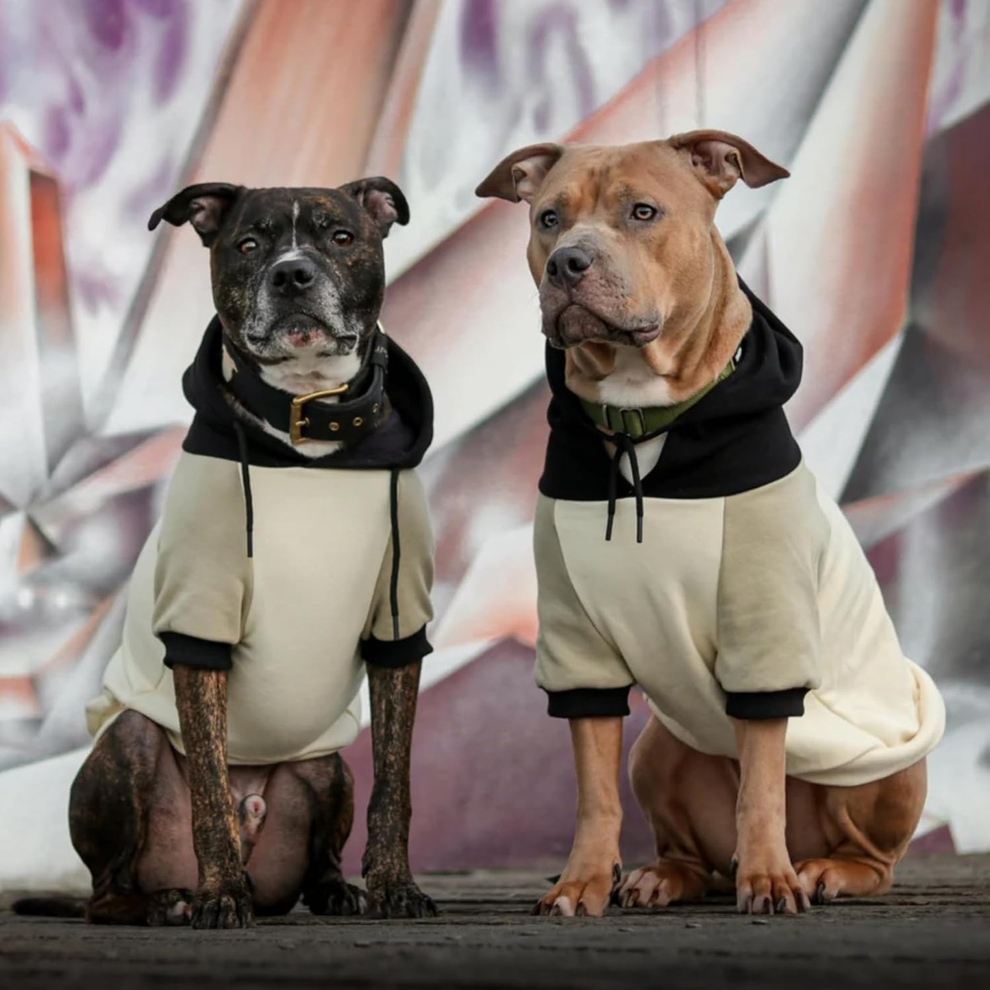 Spark Paws Dog Hoodie – Premium Dog Sweater for Small, Medium, and Large Dogs | Warm Outfits for French Bulldogs, Pitbull, Puppy, Winter Jacket Alternative - Olive Cream - 2XL