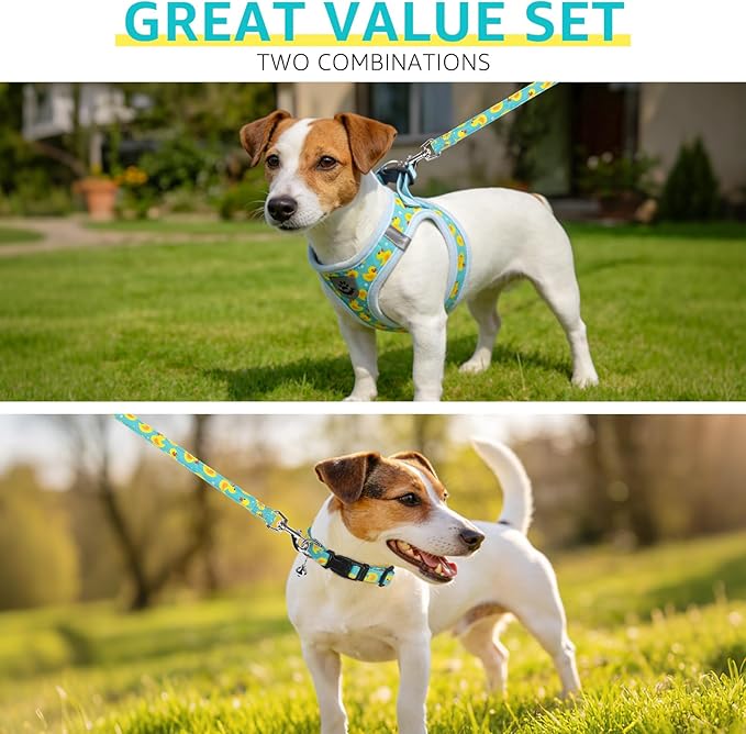 SCENEREAL Small Dog Harness and Leash Collar Set, Step in Soft Light Puppy Vest, Breathable Pet Harness for Small Sized Dogs, No Chock Reflective for Safe Outdoor Walking, Yellow Duck S