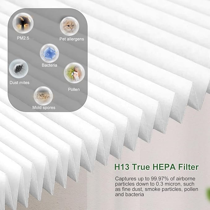 2 Pack H7124 H13 True HEPA Replacement Filter