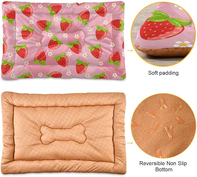 Strawberry Fruits Pet Bed Cute Dog Bed Mat Absorbing Non Slip Pad Pet Sleeping Mat for Small, Medium, and Large Dogs Puppy Cat 24 in x 18 in