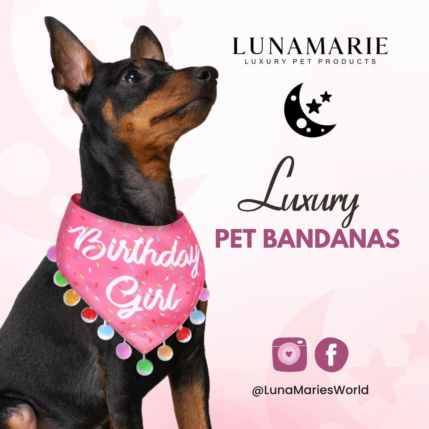 LunaMarie - Luxury Pet Birthday Bandanas -Premium & Silky Poly Fabric | 100% Handmade | Custom Shape Dual Layered (Birthday Girl, Medium)