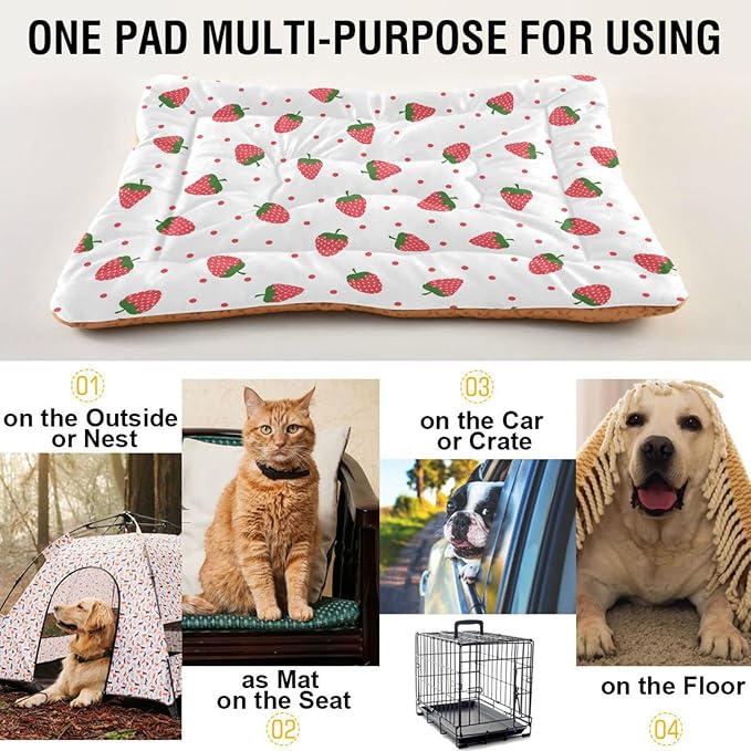 Strawberry Fruit Pet Bed Cute Dog Bed Mat Absorbing Non Slip Pad Pet Sleeping Mat for Small, Medium, and Large Dogs Puppy Cat 24 in x 18 in