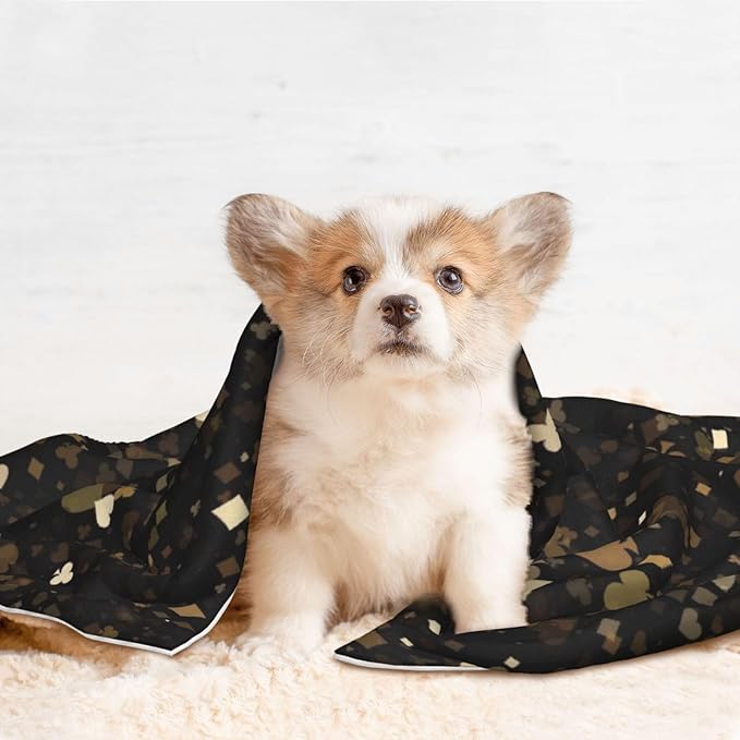 Casino Print Soft Plush Pet Blanket, Washable Dog Blanket, Cat Fleece Throw, Puppy Bed Crate Mat & Sofa Couch Protector - Small