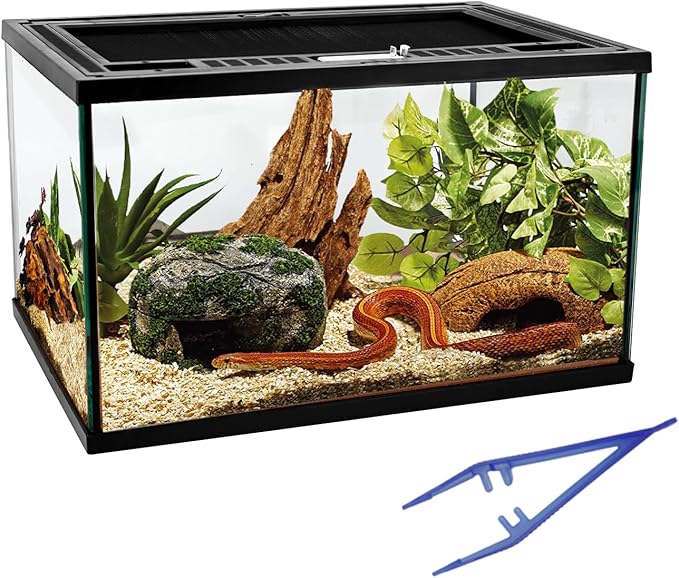 Reptile Glass Tank 16"x11"x9" Terrarium with Top Opening and Screen Ventilation for Leopard Gecko,Lizard,Hermit Crab,Snake,Spider,Frog,Bearded Dragon,Turtle with Feeding Tongs