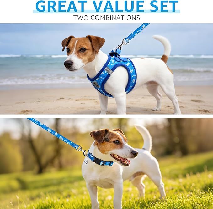 SCENEREAL Small Dog Harness and Leash Collar Set, Step in Soft Light Puppy Vest, Breathable Pet Harness for Small Sized Dogs, No Chock Reflective for Safe Outdoor Walking, Blue Shark M