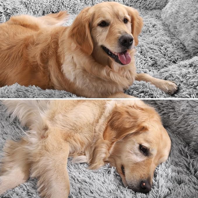 DWVO Human Dog Bed for Adult, 79" L X 43" W Large Human Size Dog Bed with Blanket and Pillow, Removable Cover, Grey