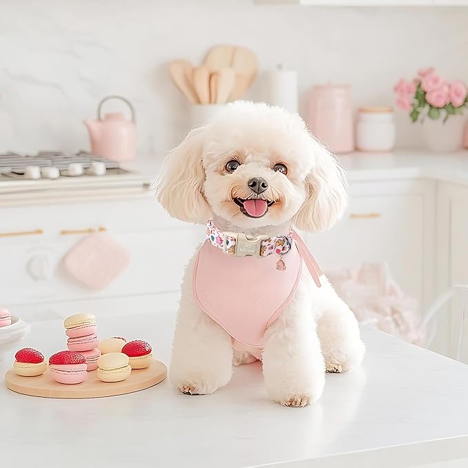 Cute Dinosaur Dog Collar, Adjustable Pink Dino Dog Collars for Giant Large Dogs, Lightweight Quick-Release Buckle Birthday Collar for Boy&Girl Dogs XL