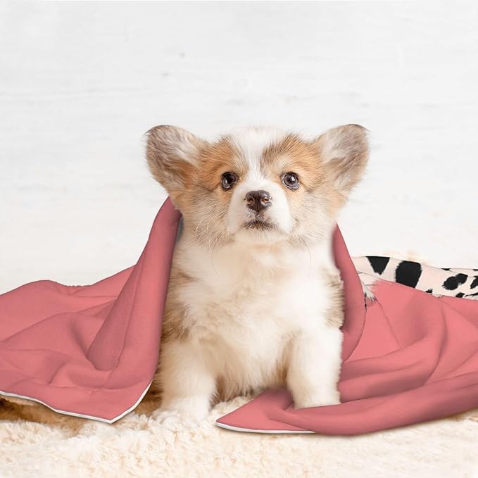 Cheetah Art Print Soft Plush Pet Blanket, Washable Dog Blanket, Cat Fleece Throw, Puppy Bed Crate Mat & Sofa Couch Protector - Large