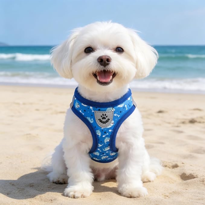 SCENEREAL Small Dog Harness and Leash Collar Set, Step in Soft Light Puppy Vest, Breathable Pet Harness for Small Sized Dogs, No Chock Reflective for Safe Outdoor Walking, Blue Shark M