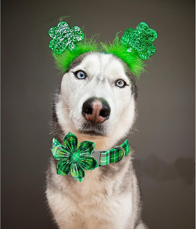Lionheart glory St. Patrick's Day Dog Collar with Flower Dog Collar for Medium Dogs, Green Plaid Cute Collars Spring Dogs Collars Flower Puppy Heavy Duty Cute