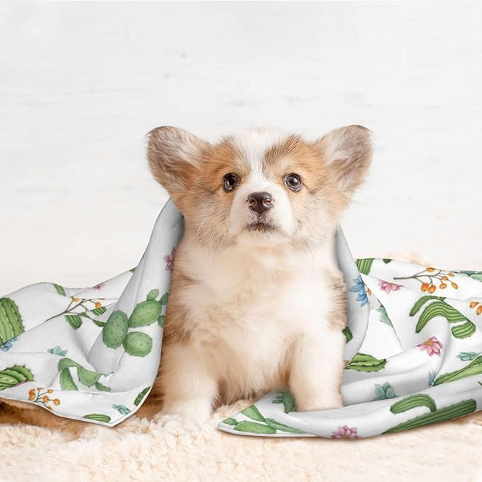 Double Sided Pet Throw for Dogs Who Shed, Watercolor Elements Succulent Plants Cactus, Reversible Blanket with Nubby Dot Side Catches Loose Fur for Easier Furniture Cleanup