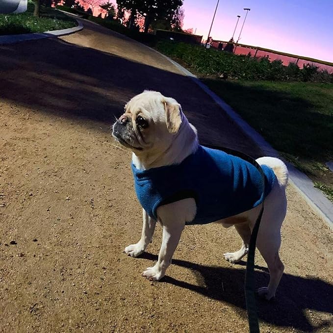 Gooby Boys X-Small Length (7 Inch) Stretch Fleece, Steel Blue, X-Small Length 7 US