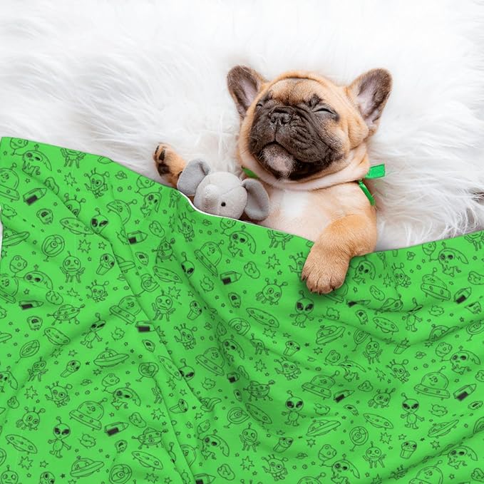 Reversible Dog Blanket for Beds Couches, Funny Aliens Dinosaurs Sasquatch, Double Sided Cat Blanket with Textured Dot Feel and Smooth Feel for Seasonal Comfort All Year