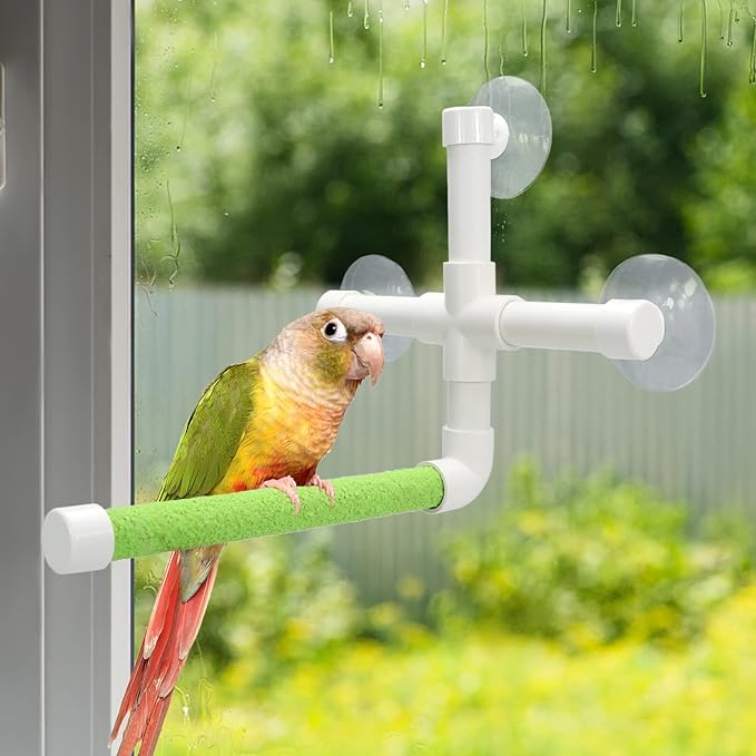 Bird Portable Suction Cup Shower Perch Window Wall Standing Platform for Parrot Parakeet Conure Cockatiel African Grey (Random Color)
