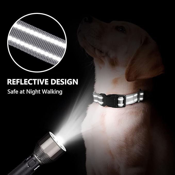 Martingale Dog Collar, Adjustable Nylon Reflective Collar with Buckle No Pull Dog Collar for Small Medium Large Dogs (Grey S)