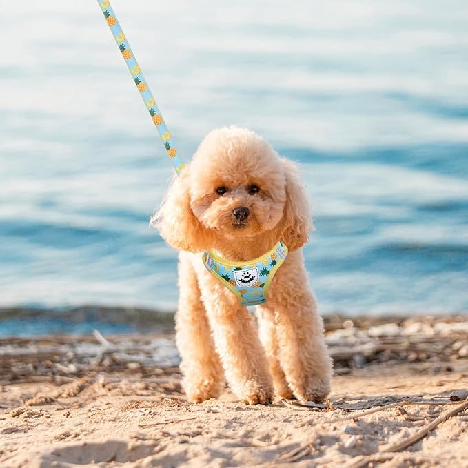 EXPAWLORER Small Dog Harness and Leash Set - Cute Puppy Harness Leash Dog Collar with AirTag Holder Silicone Case, Soft Padded Step in Pet Vest Reflective for Outdoor Walking, Pineapple XS