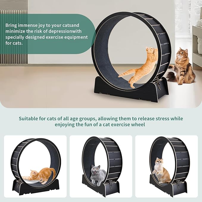 Large Cat Exercise Wheel 40 Inch Treadmill Exerciser for Indoor Cats Love Kitty Running Toy Walking Training for Fitness Weight Loss Device Suitable for Most Cats Physical Exercise Activity