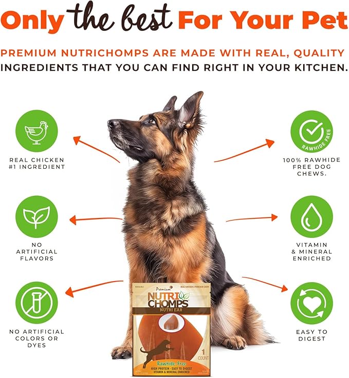 NutriChomps Dog Chews, Ear Shaped, Real Chicken Flavor, 1 Count, Easy to Digest, Rawhide Free Dog Treats, Long Lasting, Vitamin and Mineral Enriched