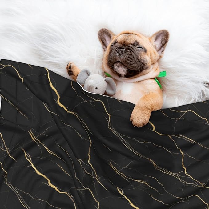 Reversible Plush Dot Pet Blanket for Dogs and Cats, Chic Black and Gold Marble Texture, Ultra Soft Two Sided Design with Warm Fuzzy Side and Smooth Side for Comfort