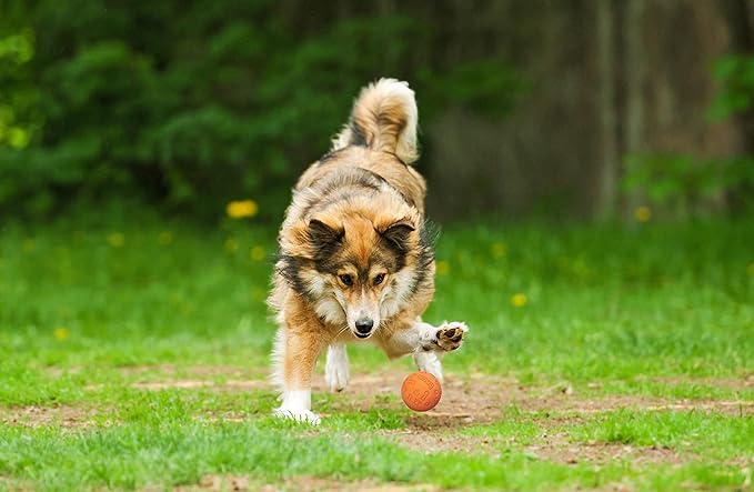 Snug Rubber Dog Balls for Small and Medium Dogs - Tennis Ball Size - Virtually Indestructible (3 Pack - Hot)
