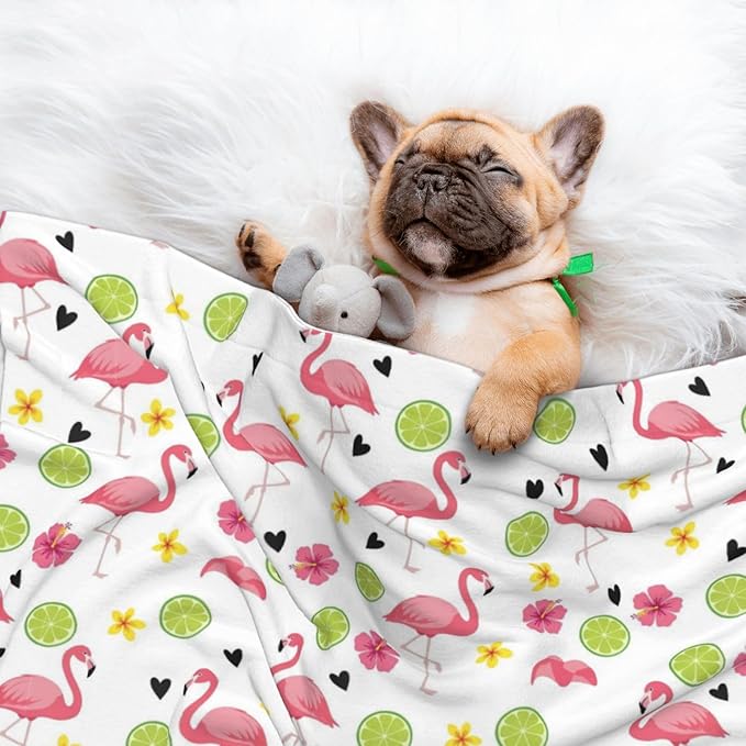 Dog and Cat Blanket in One, Cute Pink Flamingo, Double Sided Plush Throw with Raised Dot Pattern on One Side and Flat Velvet on Other for Variety
