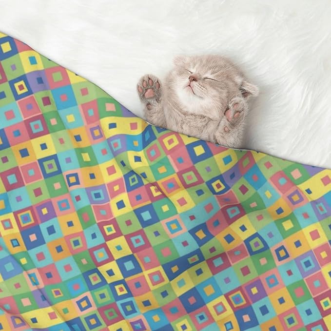 Dog and Cat Blanket in One, Rainbow Diagonal Plaid, Double Sided Plush Throw with Raised Dot Pattern on One Side and Flat Velvet on Other for Variety