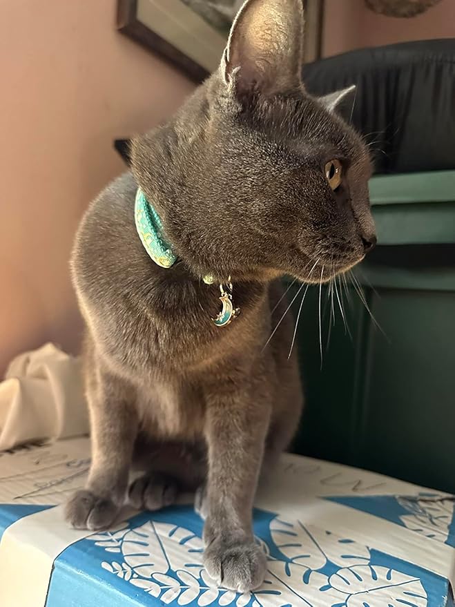 2 Pack Breakaway Cat Collar with Bells,Adjustable Moon and Star Kitten Safety Collars for Boys & Girls,Purple+Teal