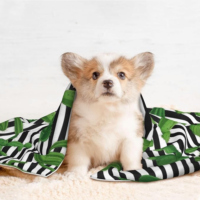 Pet Blanket for Travel and Home, Cactus and Stripes, Reversible Plush Dot Design with Soft Grip Texture on One Side Perfect for Car Seats Moving Vehicles