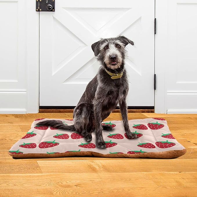 Strawberry Fruit Pet Bed Cute Dog Bed Mat Absorbing Non Slip Pad Pet Sleeping Mat for Small, Medium, and Large Dogs Puppy Cat 24 in x 18 in