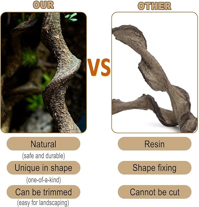 Reptile Decor Natural Forest Branch Terrarium Habitat Decoration Lizard Climbing Tree Branch for Bearded Dragon Gecko Snake Frog Chameleon Spider 3PCS