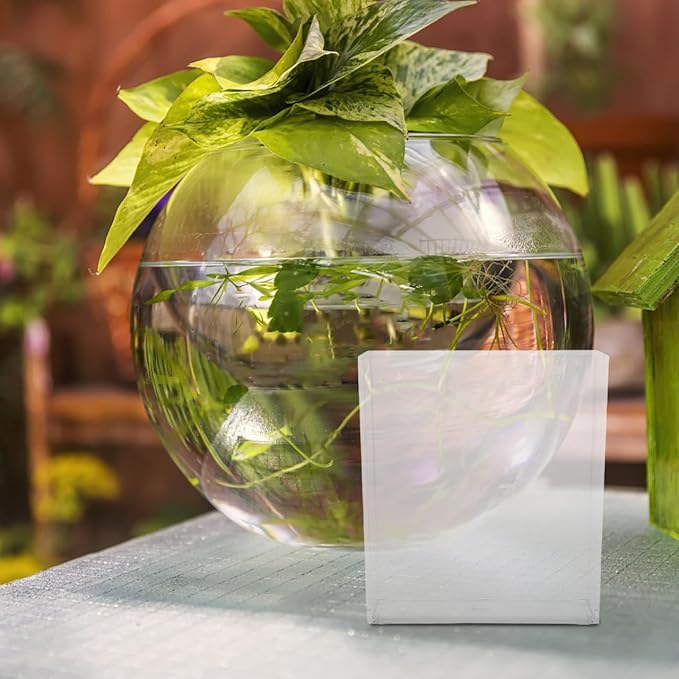 Kisangel Portable Fish Observation Container for Viewing Betta Aquariums Breeding Boxes and Small Fish Tanks Lightweight Versatile and Easy to Use