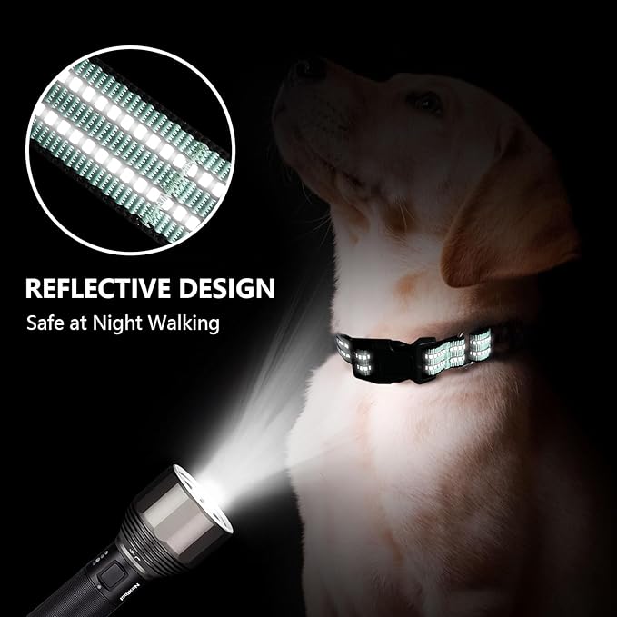 Martingale Dog Collar, Adjustable Nylon Reflective Collar with Quick Release Buckle (Apple Green, Medium)