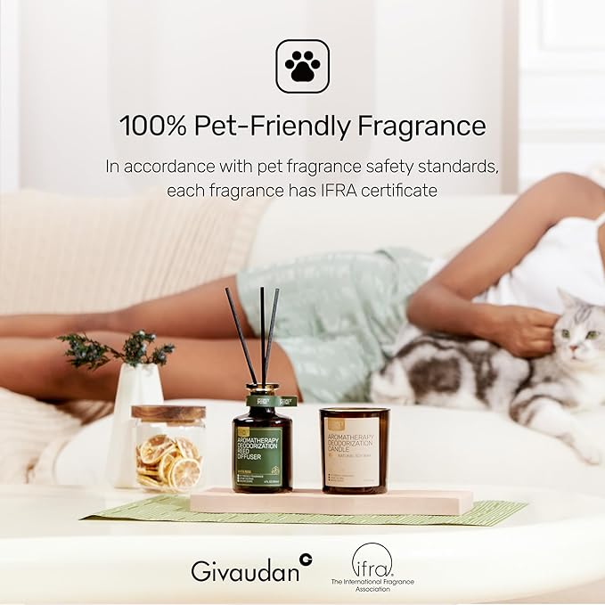 Reed Diffuser for Pet Odor Elimination, Osmanthus, Non-Toxic & Pet-Friendly Air Freshening, 6 Oz