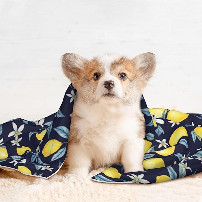Reversible Dog Blanket for Beds Couches, Citrus Fruit Flower Lemon Green, Double Sided Cat Blanket with Textured Dot Feel and Smooth Feel for Seasonal Comfort All Year