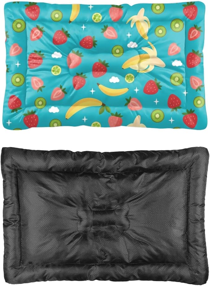 Mixed Fruit Turquoise Blue Pets Bed Dog Bed Mats Pad for Dog Crate Washable Beds for Crates Washable Non-Slip Crate Liner Pad Medium Cage Mat Kennel Accessories Indoor Outdoor 36X24 Inch