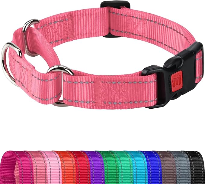 Joytale Martingale Collar for Dogs, Reflective Heavy Duty for Safety, Quick Release Buckle, Adjustable Nylon Collars for Puppy and XSmall Dogs Walking Training, Neon Pink, XS