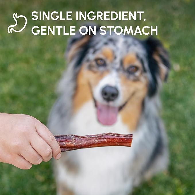 Downtown Pet Supply USA Sourced Bully Sticks for Dogs - Grass-fed Beef Chews, Low-Odor & Rawhide-Free, Long Lasting Dog Treats - Healthy, Safe & Delicious Chews (6" 5 Pack)