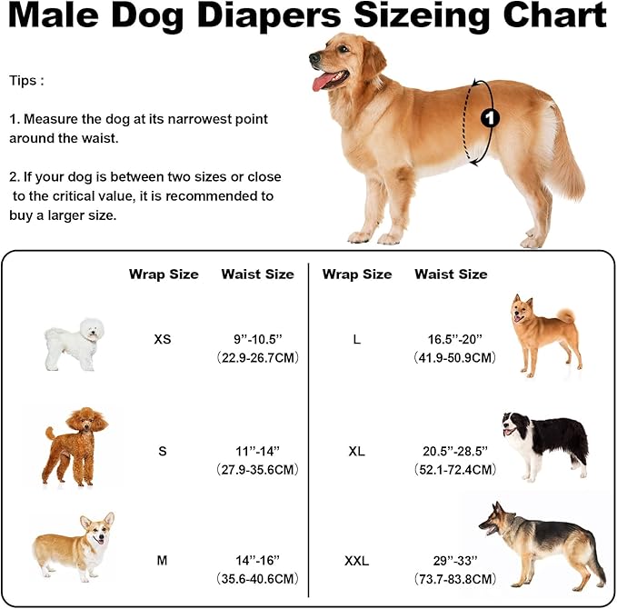 Washable Male Dog Diapers Reusable, Premium Dog Belly Bands for Male Dogs Medium, Pack of 3, High Absorbing Male Dog Pee Wraps for Doggie in Incontinence or Excitable Urination and Training(M)