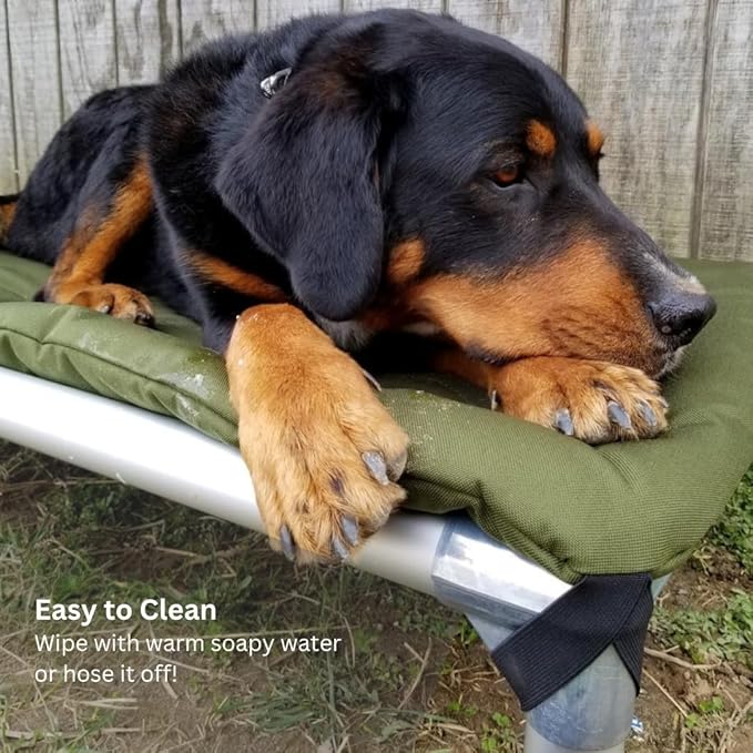 Kuranda Chewproof Elevated Pet Bed - Silver Aluminum - 44" x 27" - Sunsure Textilene - Birch