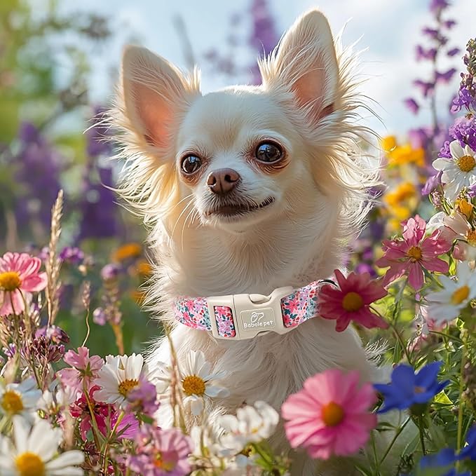 Floral Dog Collar, Cute Girl Dog Collars - Pastel Wildflowers Pattern Spring Summer Puppy Collar, Adjustable Female Dog Collars for Small Medium Large Dogs L
