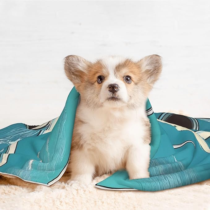 Waterproof Dog Blanket Soft Pet Blanket for Puppy Cat, Fleece Cat Throw Blankets for Furniture Bed Couch Sofa Reversible - Comic Airplane Cockpit Illustration