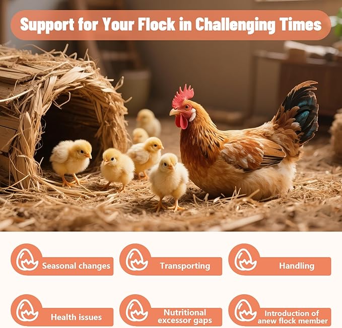 Chicken Electrolyte for Water, Ideal for Hydration, Immunity, Digestive Health, Chicken Vitamins, Electrolytes, and Probiotics, Multipurpose Poultry Vitamins for Chickens, Ducks, Turkeys, 8.8 OZ