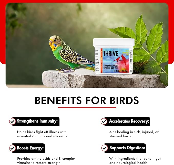 Morning Bird Thrive 6 Oz - Multi-Vitamin Bird Supplement Designed for Immune and Recovery Support - Formulated for Sick or Injured Birds - Protein Supplement and Energy Booster for All Adult Birds
