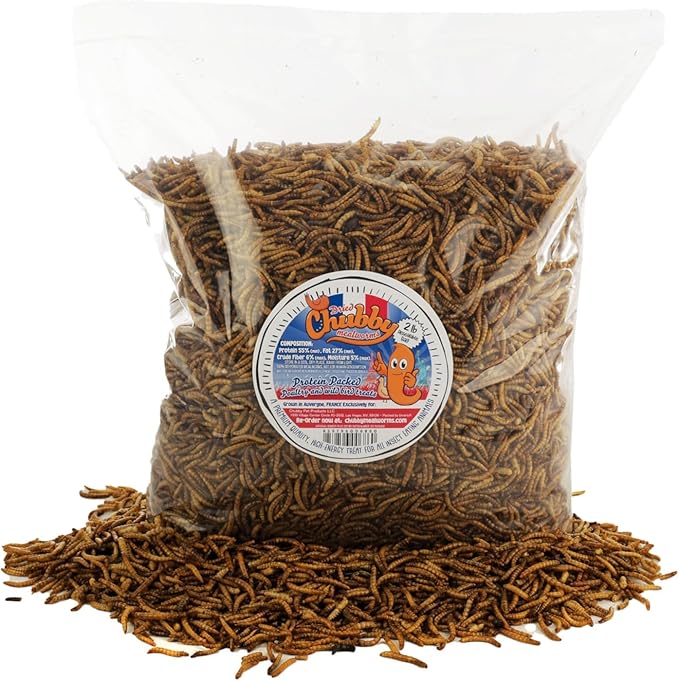 Chubby Dried Mealworms 2 Lbs - Grown in The EU - Non-GMO Mealworms for Chicken & Birds - Chicken Feed Treats for Laying Hens (2 Lb)