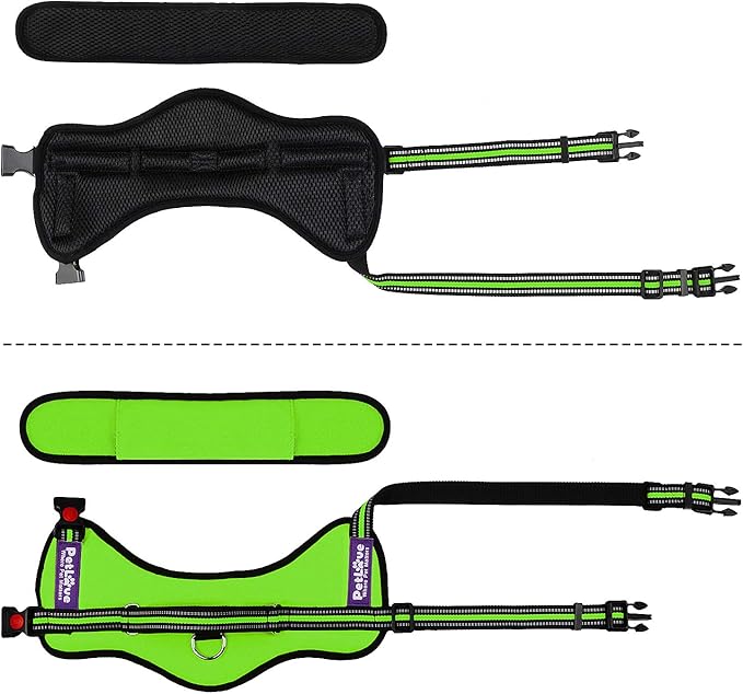 PetLove Dog Harness, Adjustable Soft Leash Padded No Pull Dog Harness for Small Medium Large Dogs, Green