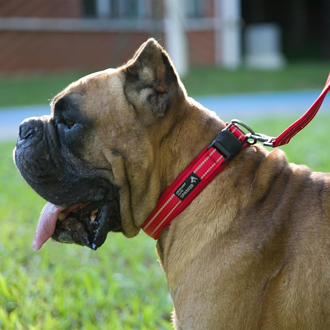 EXCELLENT ELITE SPANKER Reflective Dog Collar Classic Soft Padded Breathable Nylon Adjustable Pet Collar with Quick Release Buckle for Boy Girl Male Female Small Medium Large Dogs Training(Black-S)